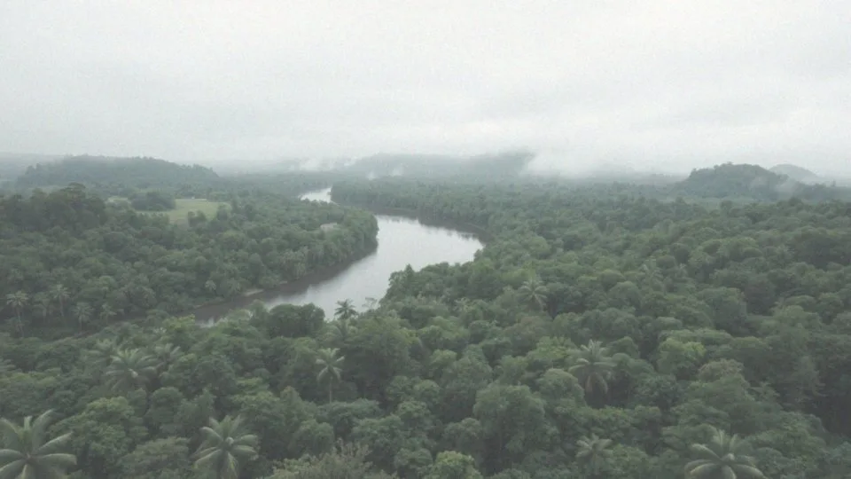 Jakie państwa obejmuje Amazonka?