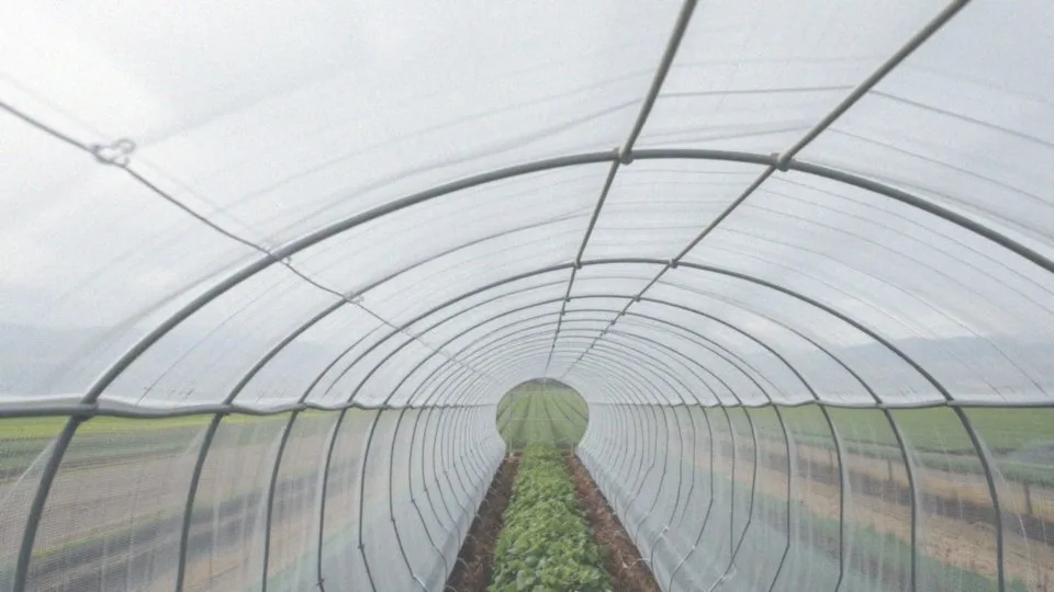 Siatka na tunel foliowy – jak wybór siatki wspiera Twoje uprawy?